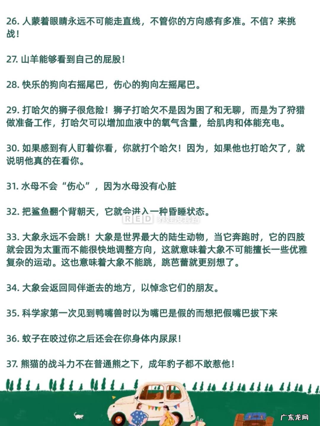 搞笑的冷知识 冷知识百科大全