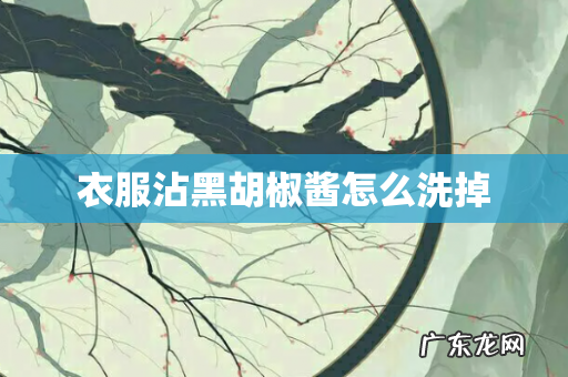 衣服沾黑胡椒酱怎么洗掉