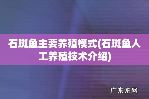 石斑鱼人工养殖技术介绍 石斑鱼主要养殖模式