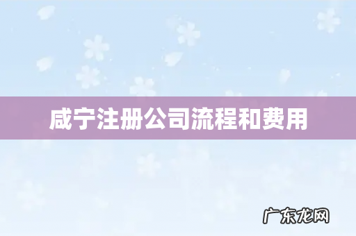 咸宁注册公司流程和费用