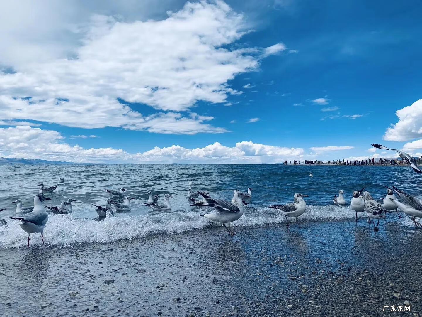 万山朝拜是什么风水 贵州千山朝拜风水