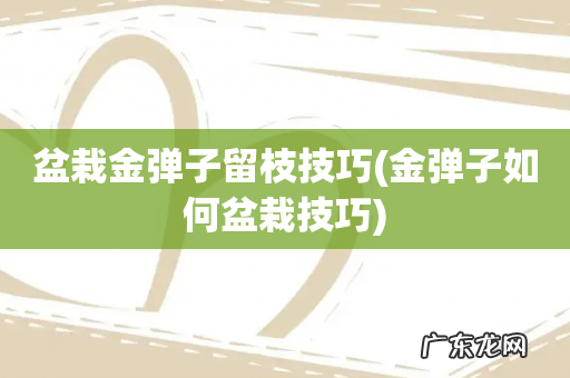 金弹子如何盆栽技巧 盆栽金弹子留枝技巧
