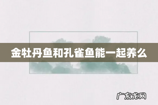 金牡丹鱼和孔雀鱼能一起养么