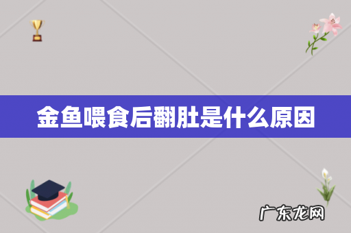 金鱼喂食后翻肚是什么原因