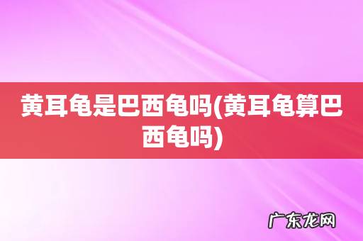 黄耳龟算巴西龟吗 黄耳龟是巴西龟吗