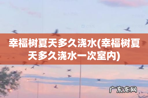幸福树夏天多久浇水一次室内 幸福树夏天多久浇水