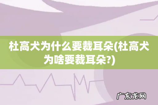 杜高犬为啥要裁耳朵? 杜高犬为什么要裁耳朵