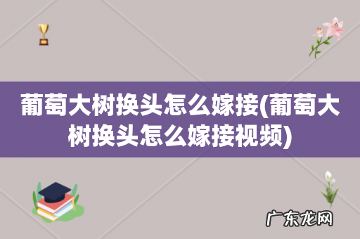 葡萄大树换头怎么嫁接视频 葡萄大树换头怎么嫁接