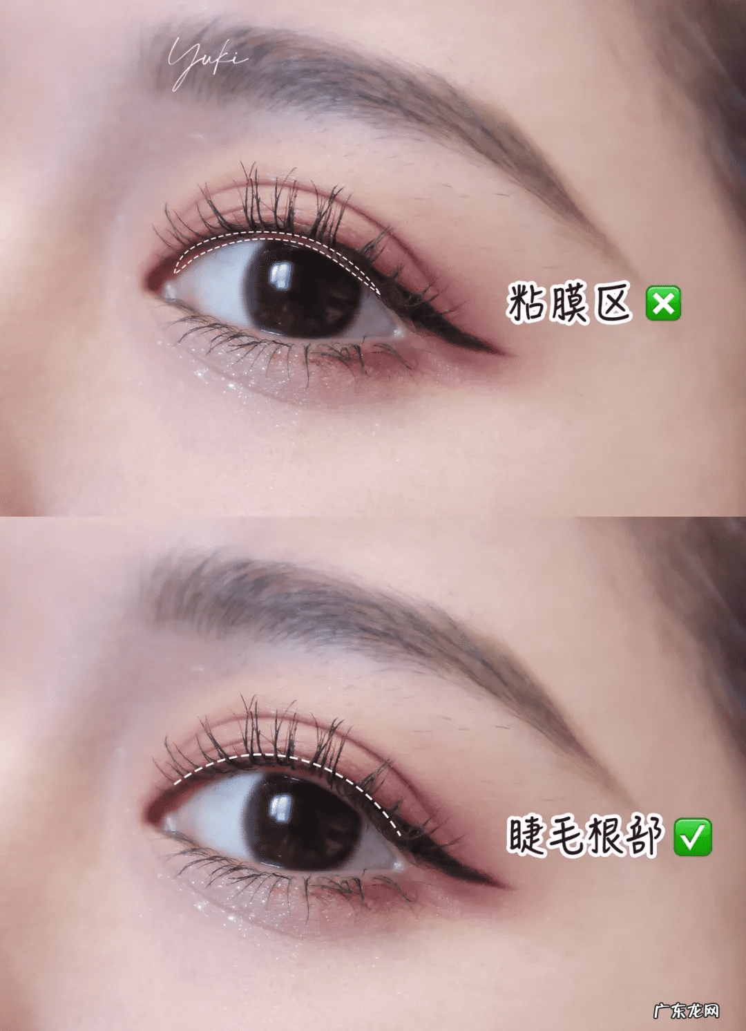 左眼眼皮跳是大吉 左眼眼尾总是跳