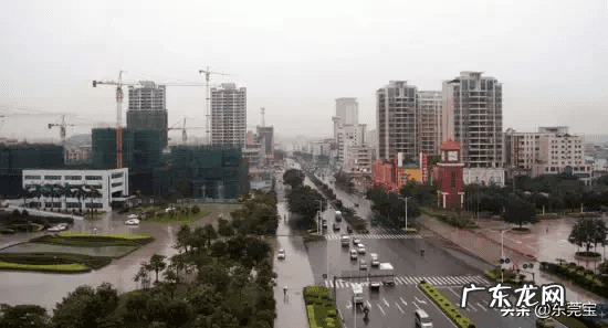 中国已注册的风水公司有哪些 望牛墩风水公司注册代理