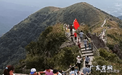 中国已注册的风水公司有哪些 望牛墩风水公司注册代理