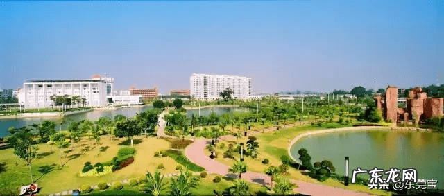 中国已注册的风水公司有哪些 望牛墩风水公司注册代理