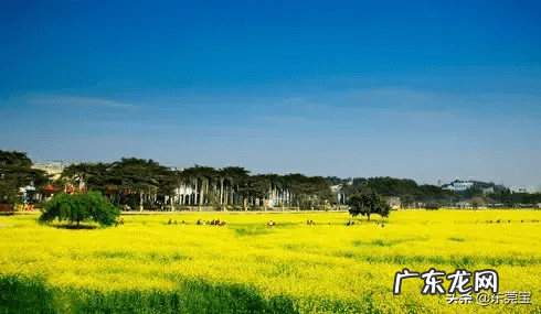 中国已注册的风水公司有哪些 望牛墩风水公司注册代理