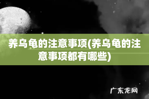 养乌龟的注意事项都有哪些 养乌龟的注意事项