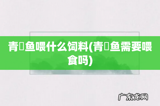 青鳉鱼需要喂食吗 青鳉鱼喂什么饲料