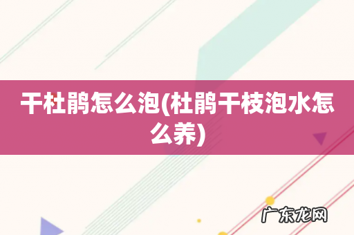 杜鹃干枝泡水怎么养 干杜鹃怎么泡