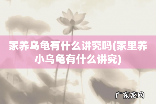 家里养小乌龟有什么讲究 家养乌龟有什么讲究吗