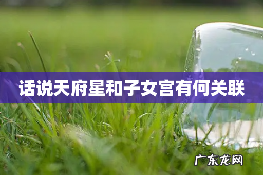 话说天府星和子女宫有何关联