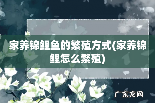 家养锦鲤怎么繁殖 家养锦鲤鱼的繁殖方式