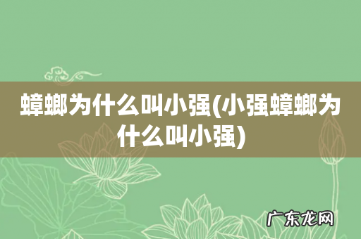 小强蟑螂为什么叫小强 蟑螂为什么叫小强