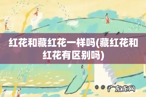 藏红花和红花有区别吗 红花和藏红花一样吗