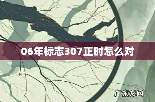 06年标志307正时怎么对