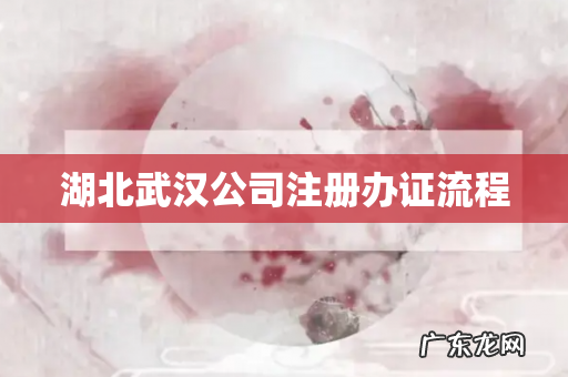 湖北武汉公司注册办证流程