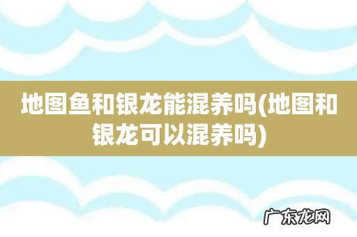地图和银龙可以混养吗 地图鱼和银龙能混养吗