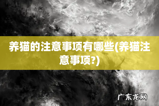 养猫注意事项? 养猫的注意事项有哪些