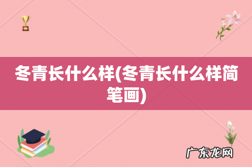 冬青长什么样简笔画 冬青长什么样