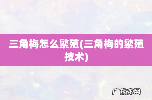 三角梅的繁殖技术 三角梅怎么繁殖