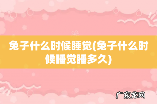 兔子什么时候睡觉睡多久 兔子什么时候睡觉