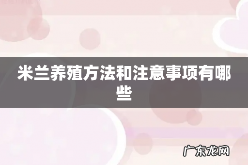 米兰养殖方法和注意事项有哪些