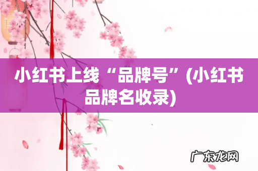 小红书品牌名收录 小红书上线“品牌号”