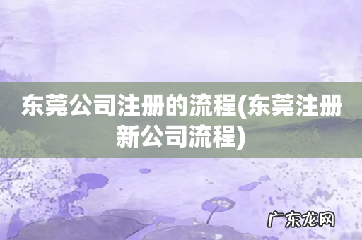 东莞注册新公司流程 东莞公司注册的流程