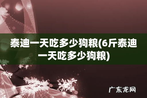 6斤泰迪一天吃多少狗粮 泰迪一天吃多少狗粮