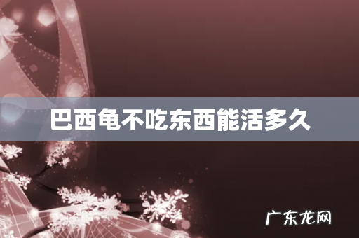 巴西龟不吃东西能活多久