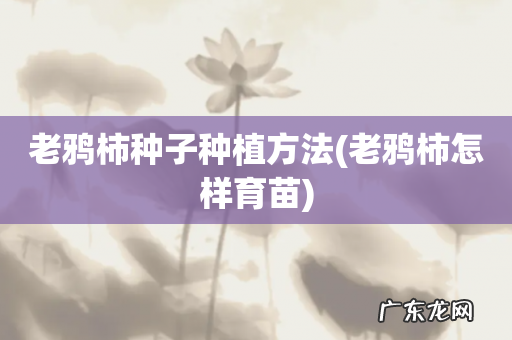 老鸦柿怎样育苗 老鸦柿种子种植方法