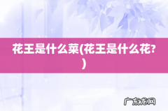 花王是什么花? 花王是什么菜