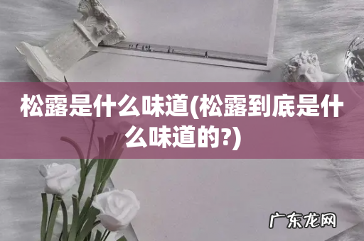 松露到底是什么味道的? 松露是什么味道