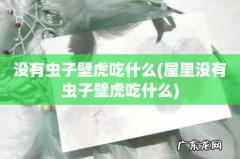 屋里没有虫子壁虎吃什么 没有虫子壁虎吃什么