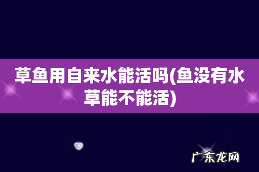 鱼没有水草能不能活 草鱼用自来水能活吗