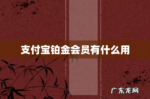 支付宝铂金会员有什么用