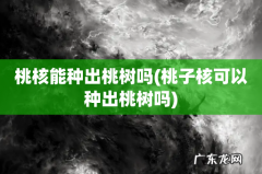 桃子核可以种出桃树吗 桃核能种出桃树吗