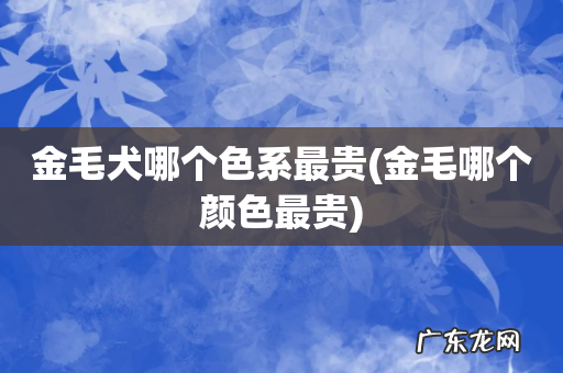 金毛哪个颜色最贵 金毛犬哪个色系最贵