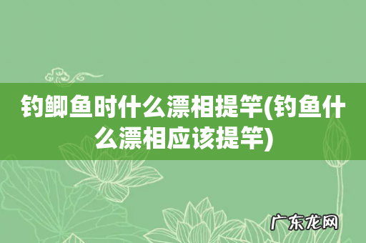 钓鱼什么漂相应该提竿 钓鲫鱼时什么漂相提竿