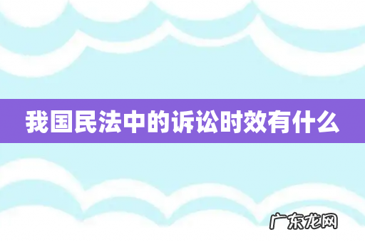 我国民法中的诉讼时效有什么