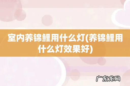 养锦鲤用什么灯效果好 室内养锦鲤用什么灯