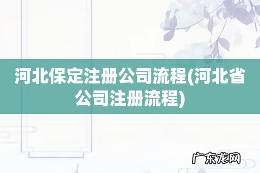河北省公司注册流程 河北保定注册公司流程