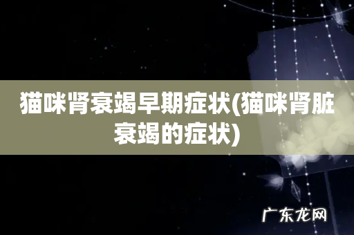 猫咪肾脏衰竭的症状 猫咪肾衰竭早期症状